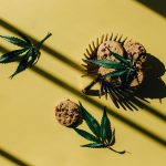 maryland weed delivery