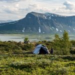 weed delivery maryland