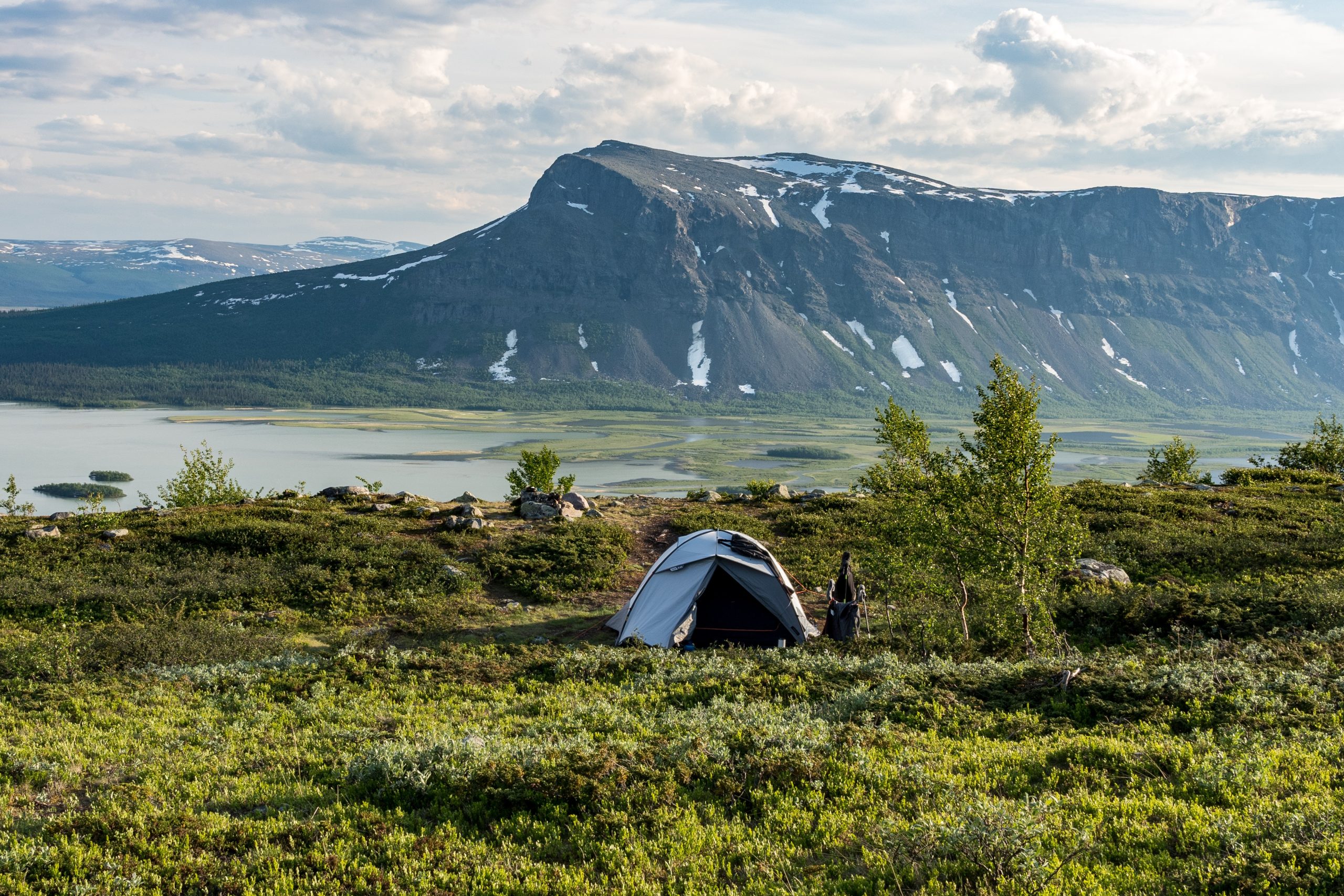 weed delivery maryland