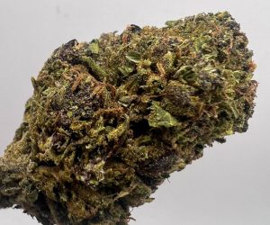 (MS) Girl Scout Cookie