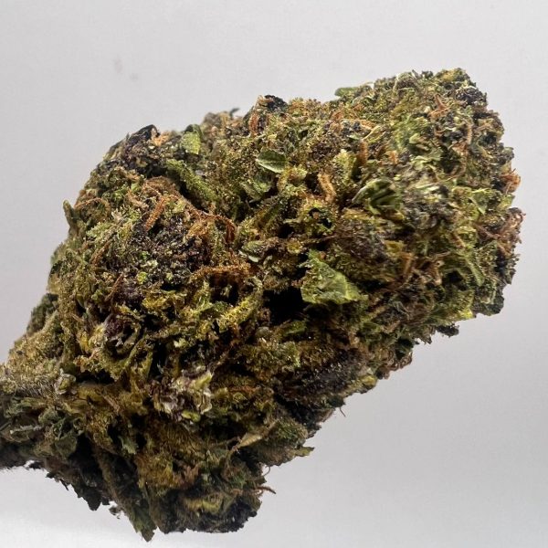 (MS) Girl Scout Cookie