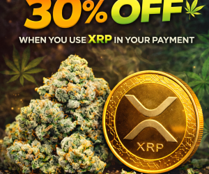 30% off XRP Payments