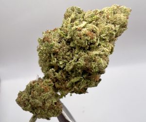 14 Gram Deal / (TS) Canal Street Runtz