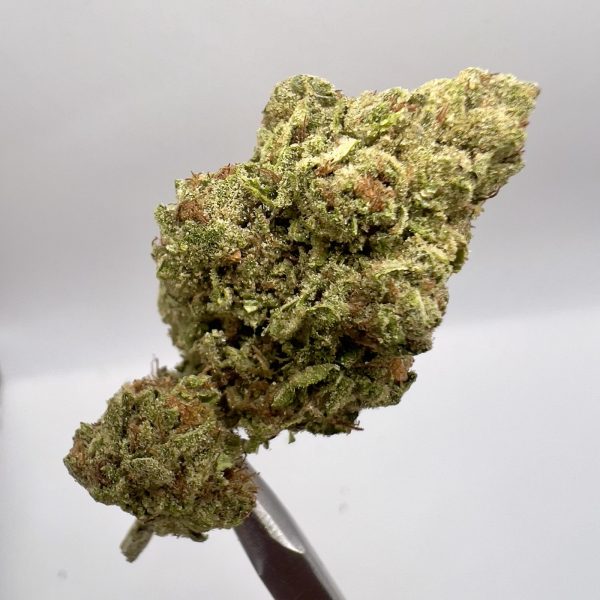 (TS) Canal Street Runtz