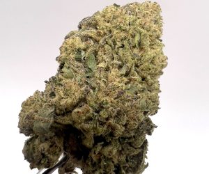 (TS) Cookies & Cream