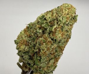 (PR) Papaya