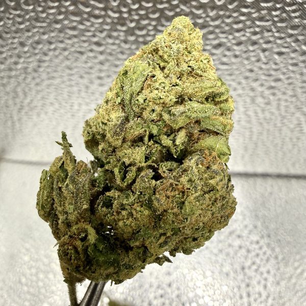 (TS) Lemon Cherry Gelto #9