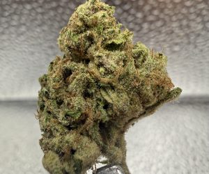 (TS) Blue Dream
