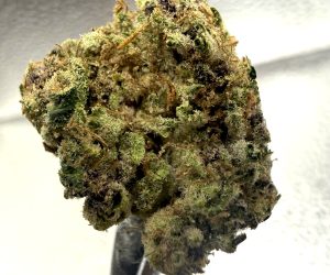 (TS) Super Boof