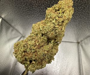 (TS) Grape Cream Cake