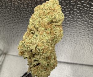 (PR) Kool Aid