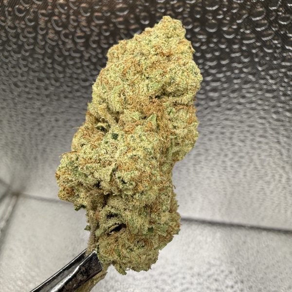 (PR) Kool Aid