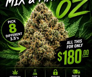 Mix and Match OZ Deal / 8 3.5’s