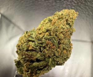 (TS) Yoda’s Gift